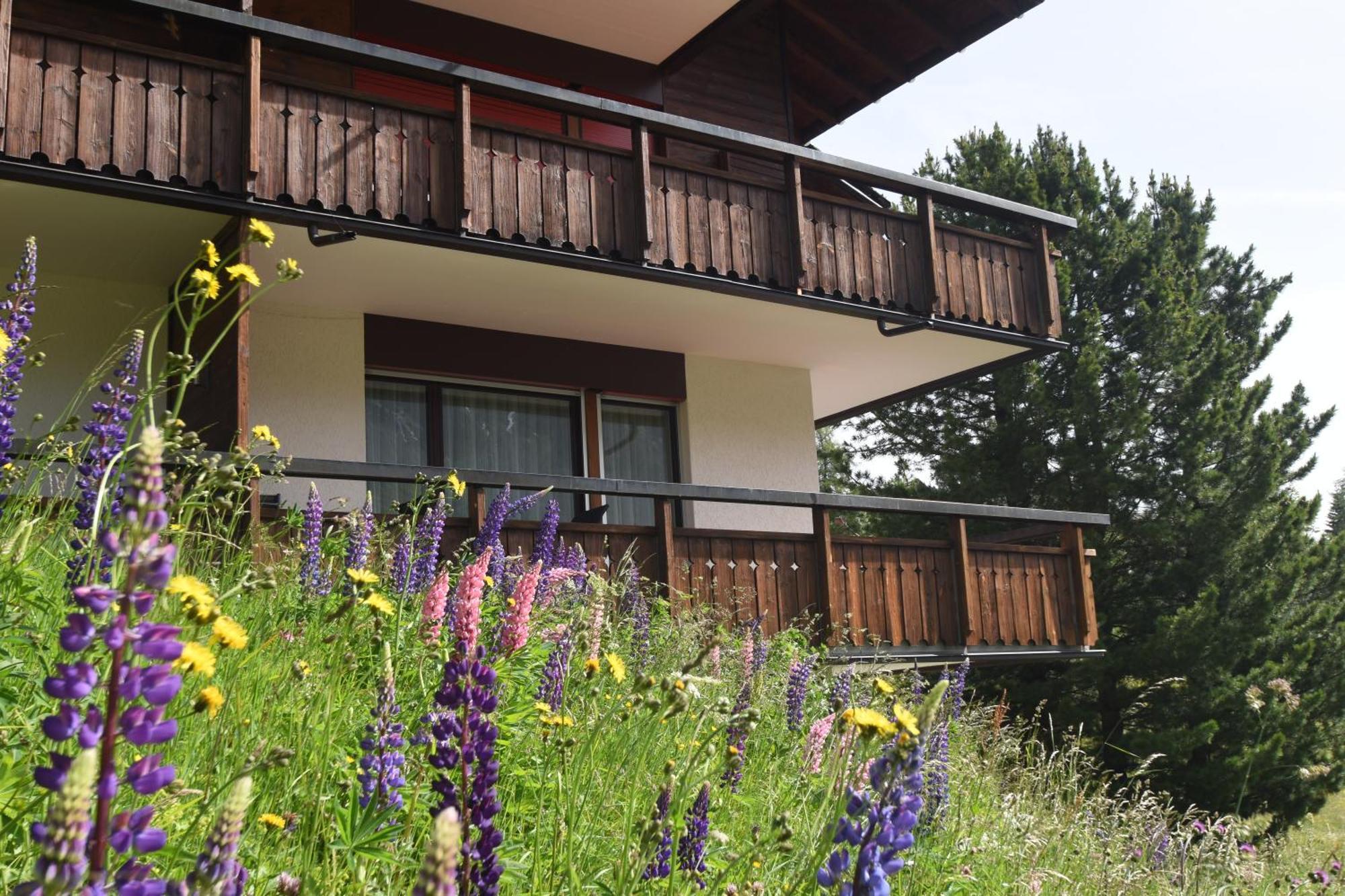 Chalet Christina 7 アローザ エクステリア 写真